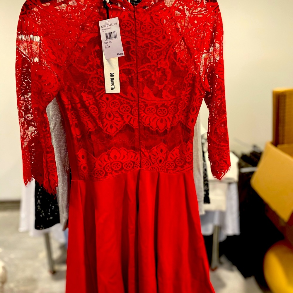 BB Dakota Dress